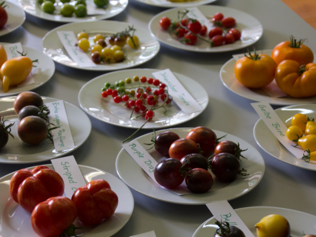 Im September findet die Tomatenausstellung im Naturparkzentrum statt. • © Bansen/Wittig