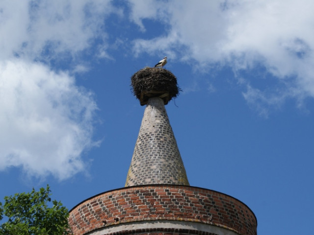 Storchennest auf dem Turm der Burg Ziesar • © Naturparkarchiv