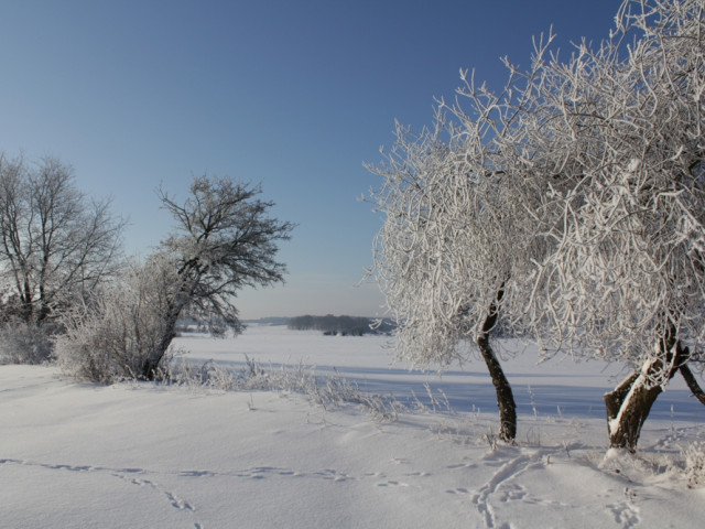 Winterlandschaft bei Garrey • © Heiko Bansen