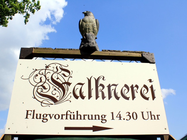 Die Greifvogelflugshow der Falknerei Rabenstein ist einen Besuch wert. • © Juliane Wittig