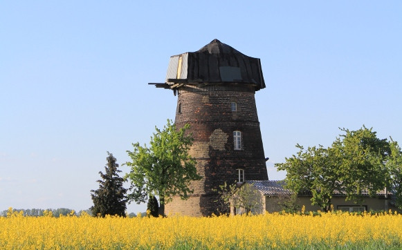 Großkopfs Holländermühle bei Niemegk (c) Heiko Bansen
